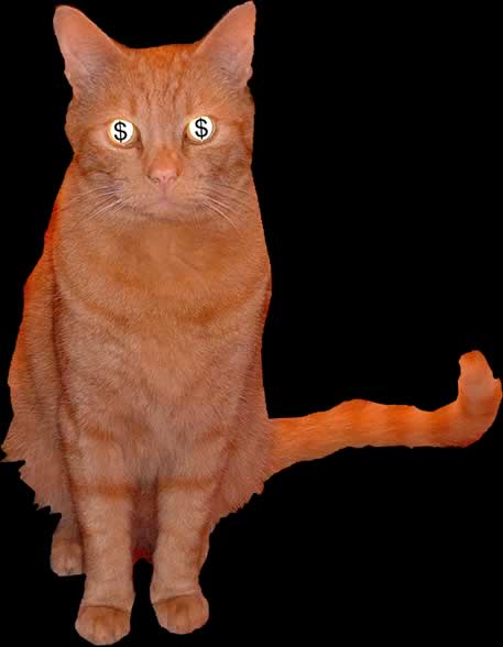 Billy 2Katz - a dear-departed cat who starred in an international short film