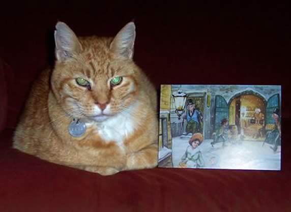 Rolf van den Tweel - who lives in perfect harmony with a rottweiller called Terra